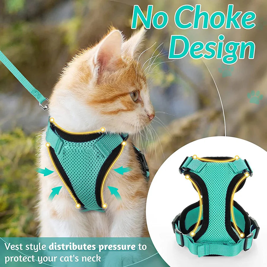 Cat Harness