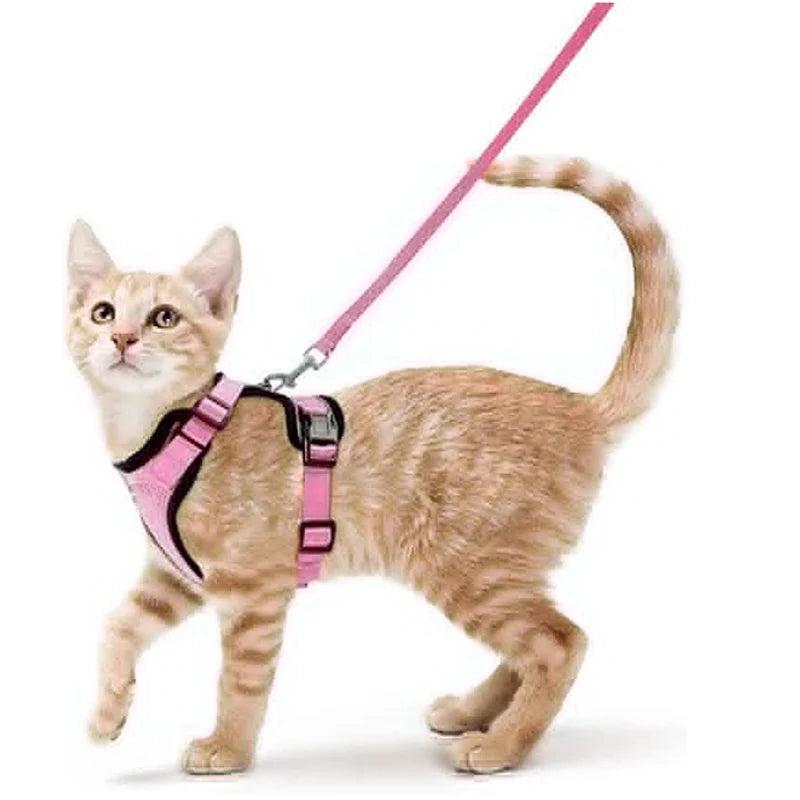 Cat Harness