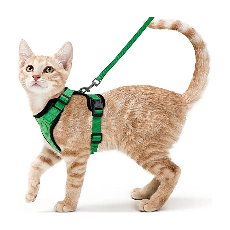 Cat Harness