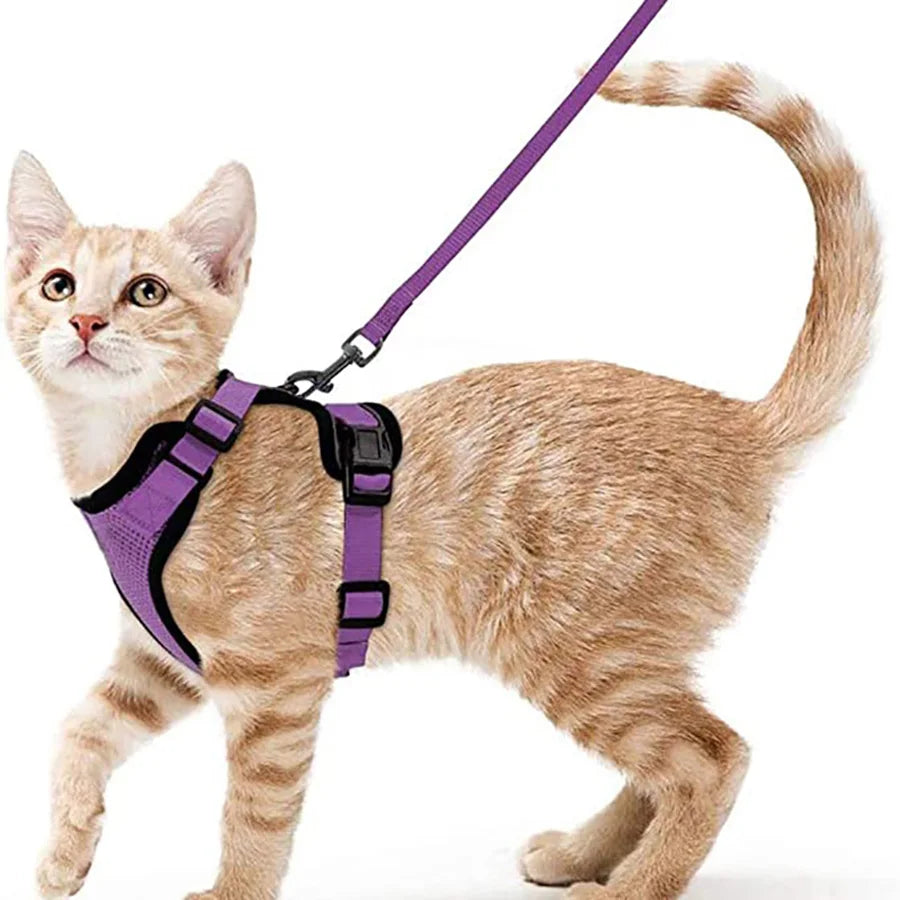 Cat Harness