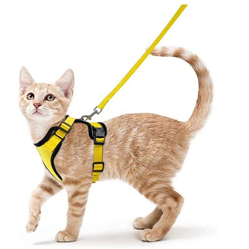 Cat Harness